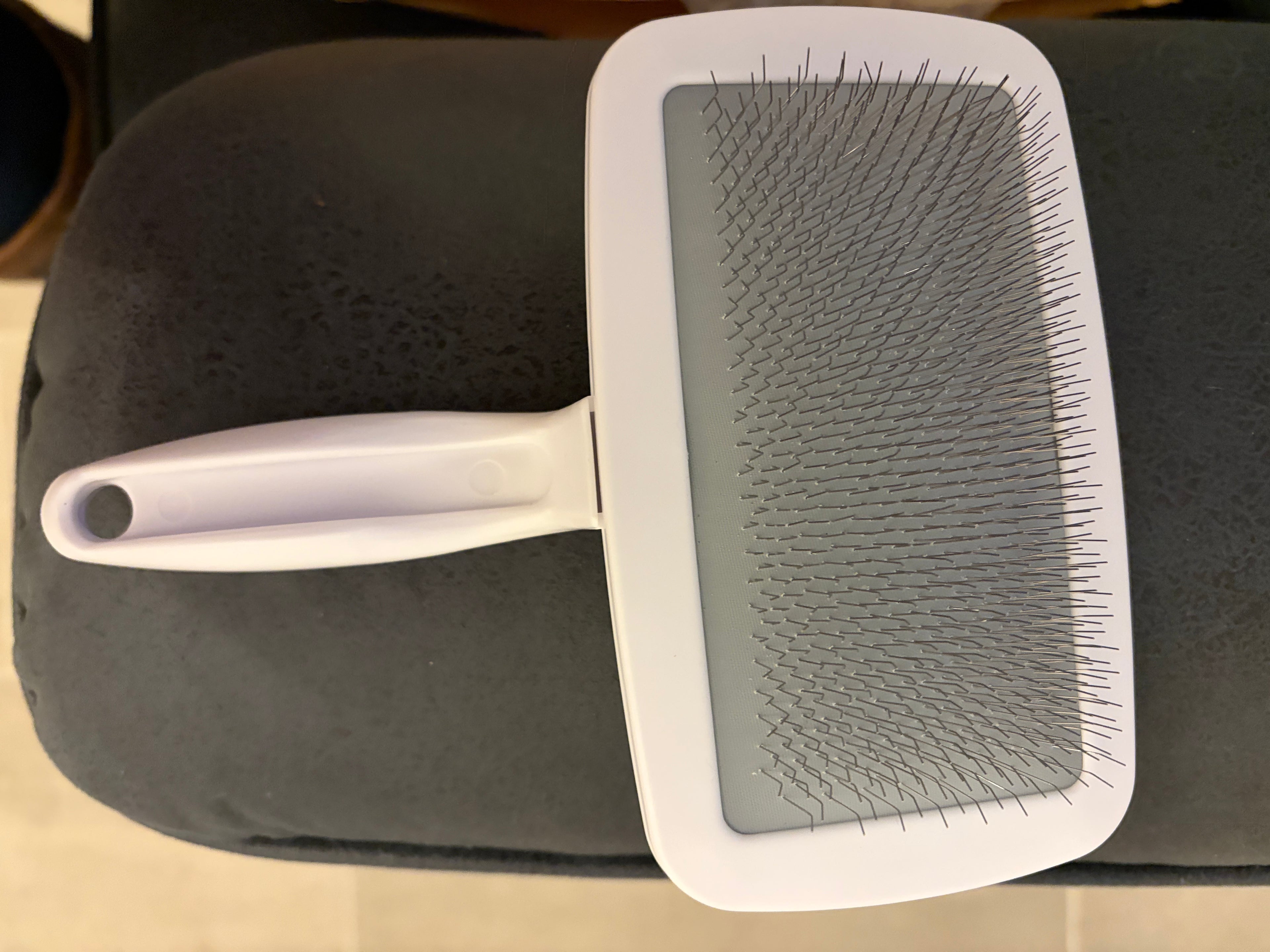 Large doggy man slicker brush